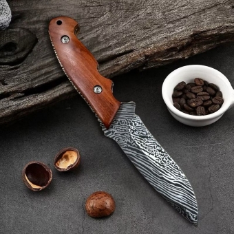 Faca pequena cozinha legumes DJ-179